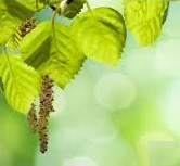 images14