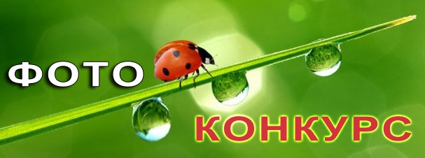 baner konkurs obrez