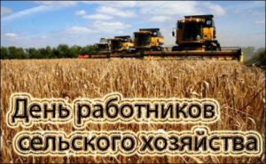 6301647-300x185