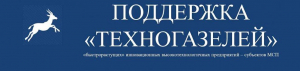 Программа поддержки инновационным субъектам