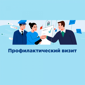Профилактический визит