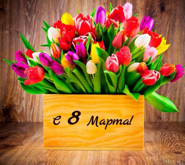 Поздравление главы с 8 марта!!!